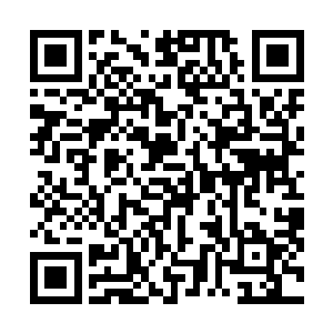 特意没有抹除这两件伪仙器和六件极品法宝中的魂念烙印二维码生成