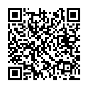 特意要求徐海等人顺路去看一看他们太平县的粮行二维码生成