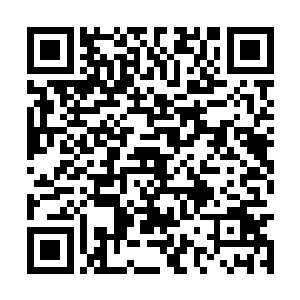 特意赶到仓北县来自然事先见过刘一维等人的照片二维码生成