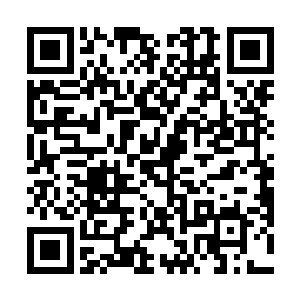 特来报告小惠主母--因为地下城的一切都由小惠管理二维码生成