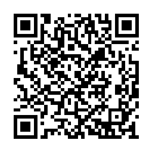 特殊的元素反应形成了抑制灵能波动的诡异辐射二维码生成