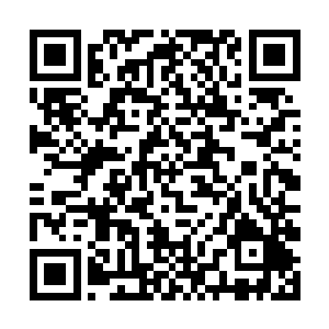 特级毒兽和毒兽世界里其他毒兽最不一样的地方在于二维码生成