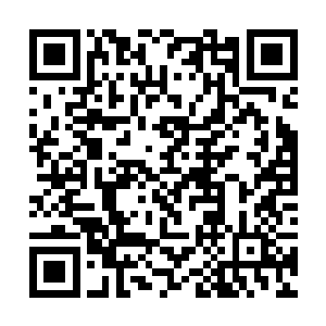 特蕾莎将瞳孔散大精神崩溃的左冷轩扔到叶问天面前二维码生成