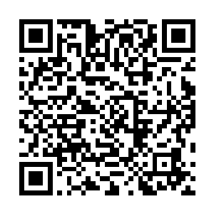 特蕾西才如此深刻的品尝到了好莱坞这个名利场里的苦涩二维码生成