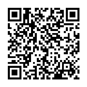 特蕾西看着电视机上正在脱口秀节目上接受采访的雨果二维码生成