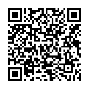 特这王八蛋居然爬到我的秋衣里了一点点往下爬去二维码生成