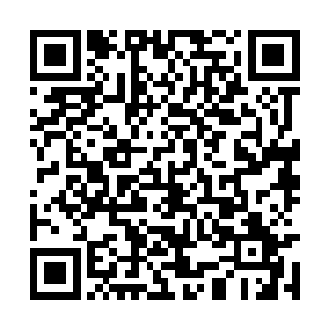 犹如在大片深蓝色加勒比海上洒落的一把祖母宝石二维码生成