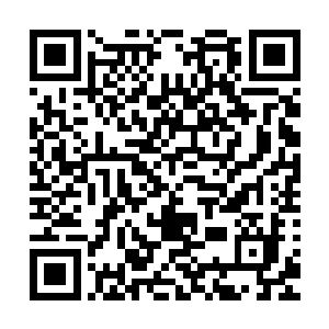 犹如寒霜般的雪亮剑身清晰在两人脸上倒映出一抹刺眼的光芒二维码生成