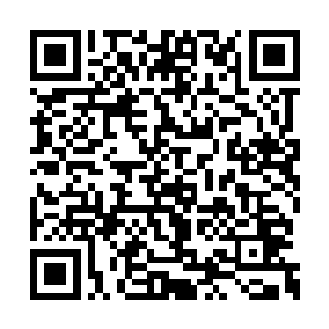 犹如巨龟和大猩猩混合体般的凶兽踩成肉泥之后二维码生成