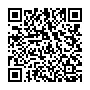 犹如无数条呲牙咧嘴的银蛇铺天盖地般的扑向了吕布二维码生成