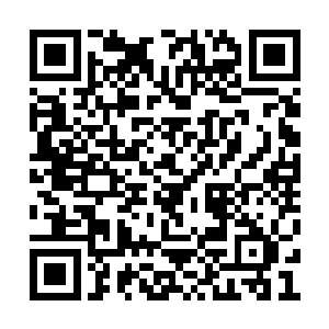 犹如暴雨一般向着武殿的五百多人身上倾泻而去二维码生成