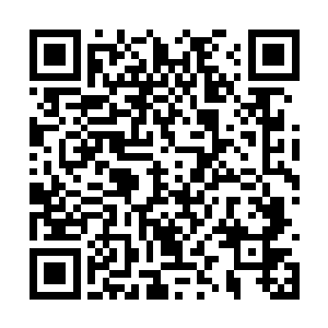 犹如暴雨一般向着王爽和武殿武者的身上倾泻而去二维码生成