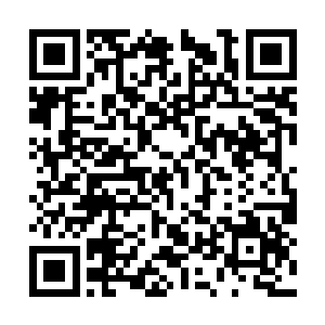 犹如木乃伊一样的洪波通展现在洪波为面前的时候二维码生成