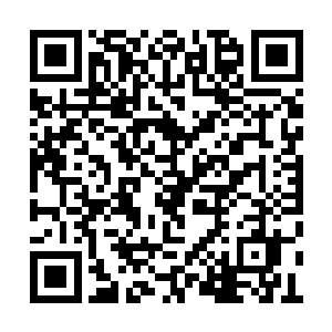 犹如正见一头浑身冒着烟火的狻猊凶兽飞扑而来二维码生成