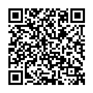 犹如湖面在裂开一样朝着阴世的位置蔓延了过去二维码生成