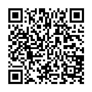 犹是袭灭月此刻在看到萝莉少女水汪汪的大眼睛里的控诉时二维码生成