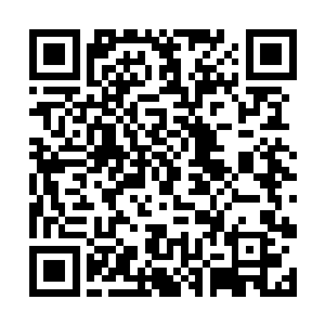 犹豫不定的斗篷人神色也有些惊讶――景横波也中了二维码生成