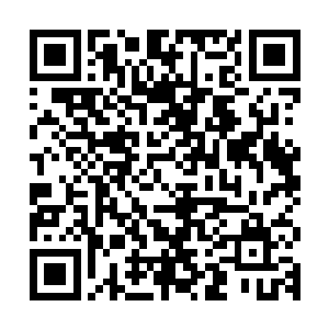 狂信者武士们的重型镰刀算是专门为了克制大型生物而设计的了二维码生成