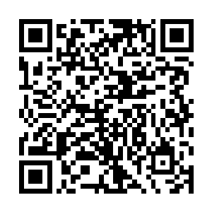 狂暴气息随着琴音竟爆发出让两人都心惊的气机~二维码生成