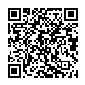 狂暴的劫雷之力疯狂的朝着四尊小印里面疯狂的涌去二维码生成