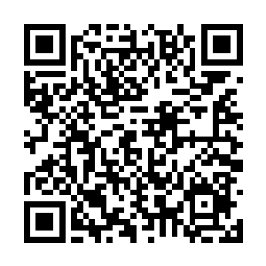 狂暴的道法之力直接将血色的虚影直接笼罩了起来二维码生成