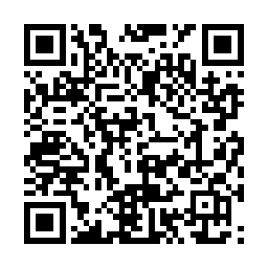 狂杀小队的人愣是看着楚暮的背影离他们越来越远二维码生成