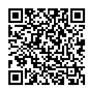 狂笑着的叶狂风将两根硕大的触须狠狠的挥击而下二维码生成