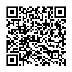 狄丽雅也没想起来自己还能建议贝海再添点儿什么二维码生成