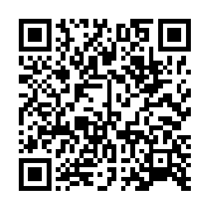 狄安妮当然能想象到刚才在电梯里发生了怎样激情的一幕二维码生成