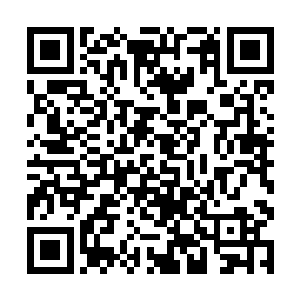 狄小言的眼神恋恋不舍地从铺了一桌子的东西上离开二维码生成