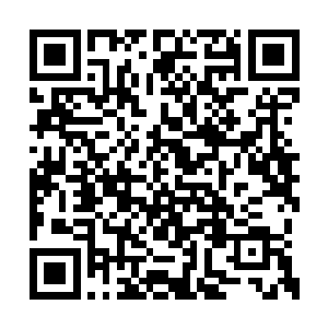 狄昕不会因为一个天才的炼虚期修士就坏了规矩二维码生成
