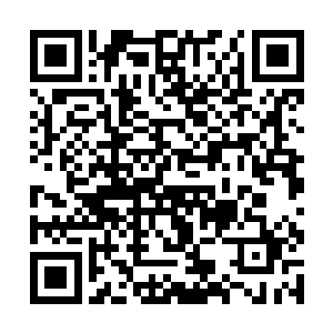 狄龙等人的攻击也是再次给夏天的身上留下了几处伤二维码生成