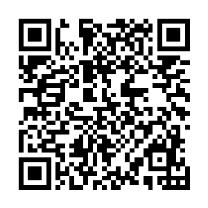 狗尾巴草带着我们在酒吧的街道跑了大概有十几分钟的时间二维码生成