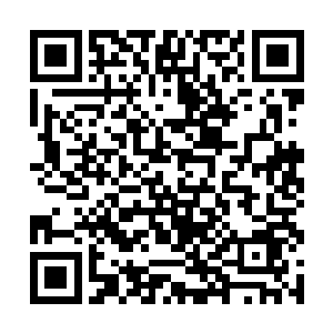 狗王身上这件百纳坎肩看起来全部是用碎皮子缀成的二维码生成