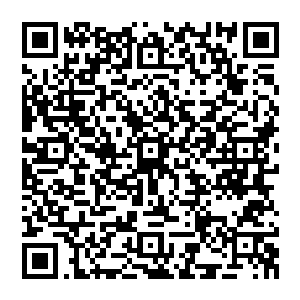 狠了狠心把自己压箱底的一大株灵芝还有几根年岁不短的人参拿出来给大家跟着肉一起炖着吃二维码生成