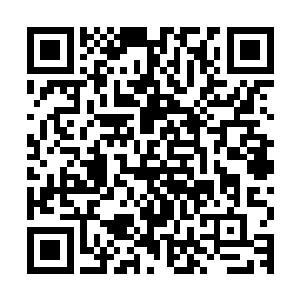 狠狠的一拳砸在一名即将把自己的脑袋砍下来喂狗的蒙面人身上二维码生成