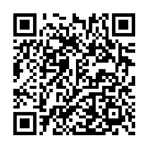 狡猾的纳鲁之书自然知道怎么欺骗过冥凤的洞察二维码生成