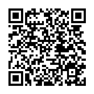 独创男女两穿中性风俘获了在场无数男男女女的芳心二维码生成