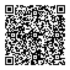 独占太夏药材市场大宗交易额的百分之二十和太夏甲级城市六库之一种粮之库采购的三分之一二维码生成