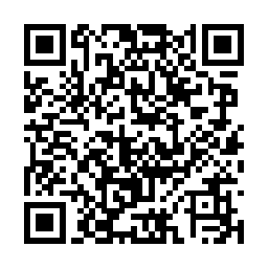 独孤鸿和百里璟也是醉了……四人纷纷缩了缩脖子二维码生成