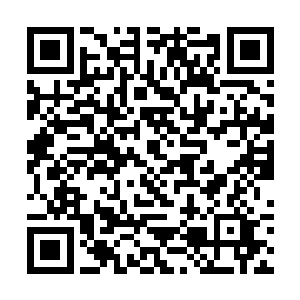 独家拍卖行的贵宾是可以带两名随从或者保镖进场的二维码生成