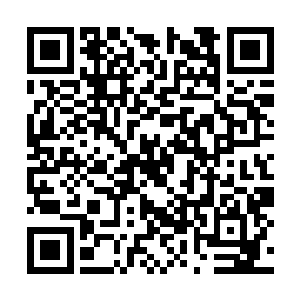 独属于天灾领主的灾祸之力构成了八个诡秘的节点二维码生成