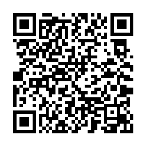 独步夺得第一的呼声在排名赛开始之前就非常高二维码生成