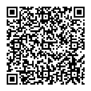独臂大人不见了……有灵魂之力的生灵感应到独臂大人已经离开的好远……现在都是人心惶惶的二维码生成