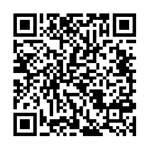 独自观摩兰花不需要外人的打扰这是真正的养兰高手都会做的二维码生成