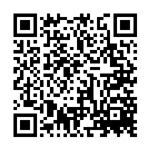 狰狞的神情又隐隐地从她美丽的脸蛋上浮现了出来二维码生成