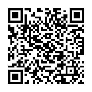 狼人店员和护卫们全都恢复了开门做生意应有的态度二维码生成