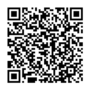 狼人族的强者以及那名百米身高的石巨人都一个不剩的来到了这里二维码生成