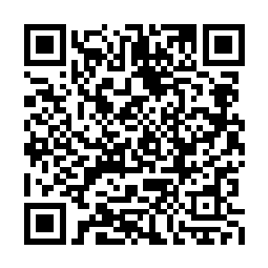 狼先生刚从国外回来也是可以给自己放一天假的二维码生成