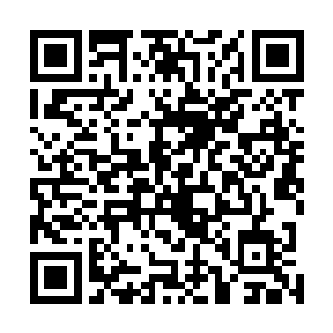 狼沦皇遇到的盗群应该是我们之前遇到的那个盗群一部分二维码生成